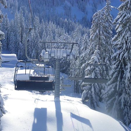 Haus Auni Metzgermeister Westendorf Ngoại thất bức ảnh